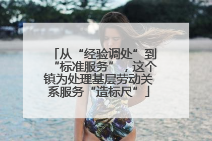从“经验调处”到“标准服务”，这个镇为处理基层劳动关系服务“造标尺”